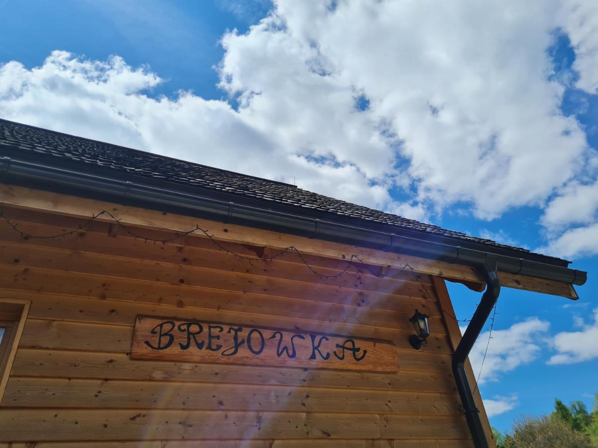 Brejowka Apartman Krynica Zdrój Kültér fotó